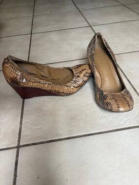 Tory Burch Brown Snakeskin Wedge Pumps